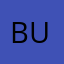 BuBsBug01