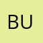 Budigame