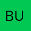 Bugg1965