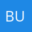 Buntarishe