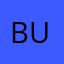 Burcub