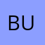 BurntIV