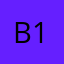 Burross-1