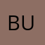 Businessmuse