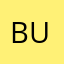 Buzzardini