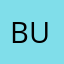 Buzzlyons