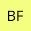 Buzzy Flypaper