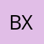 BxSMT88