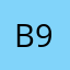 Byron 999