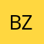 Bzeis1108