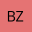 Bzhvikings