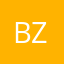 Bzik1993
