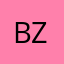 BzzyElzz@2707
