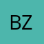Bzzzcat