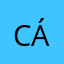 Cáigamenhưcứt