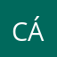Cátxusca