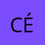 Céligne