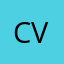 CS Vieira