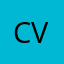 Chhavinav Verma