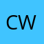 Cingular Wireless