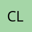 Cleanscout