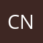 Cnp33