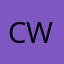 Colt walker