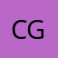 Connect Executive Search Group 