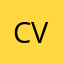 Customer Values