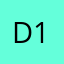 D13.....