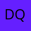 Dior Q