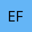 Electronic friend