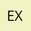 Exsing