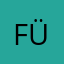 Füxin1107