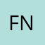 Fab Nes