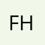 Fake ho