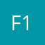 Feijie 111