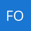 Fohlen85