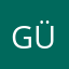 GÜLERGSM