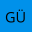 GüldürenNet