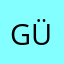 Gümüş2941