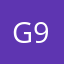 GS 9999