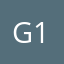 Goomes 13