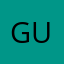 Gun_bio