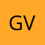 Gvizion