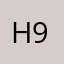 H9999p