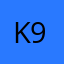 K91181