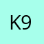 K9121