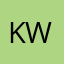 Katana wing
