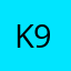 Kpop fan 99